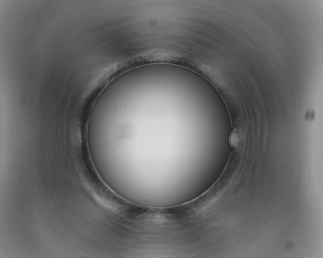 X0000091970254200709201411
