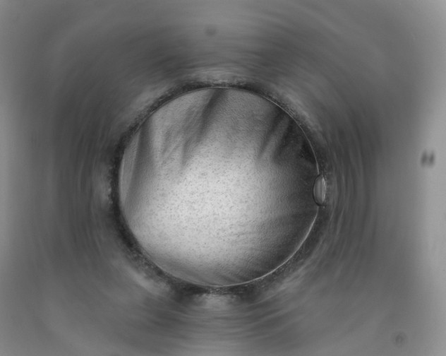 X0000091970255200709201411