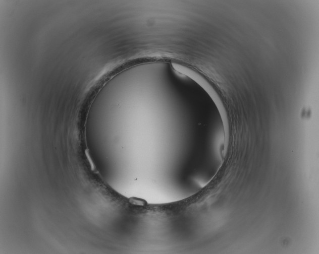 X0000091970256200709201411