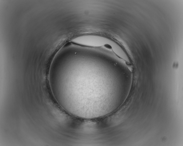 X0000091970257200709201411