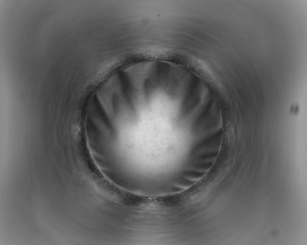 X0000091970259200709201411