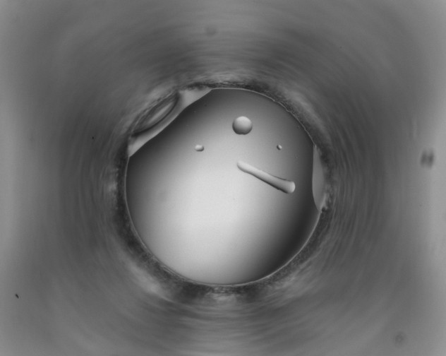 X0000091970260200709201411
