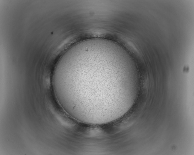 X0000091970262200709201411