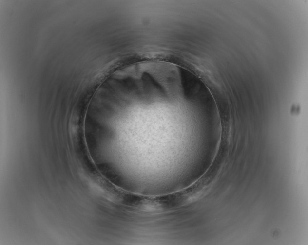 X0000091970263200709201411