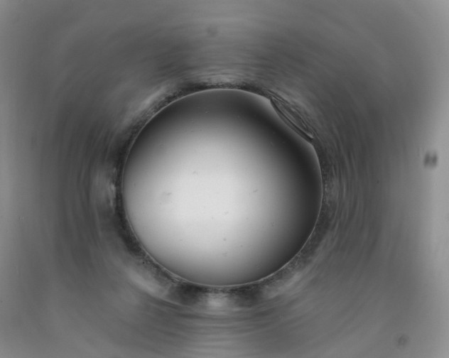 X0000091970264200709201411
