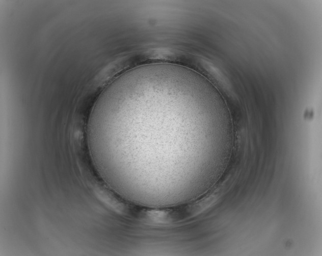 X0000091970265200709201411