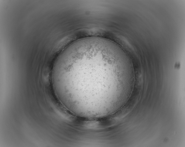 X0000091970266200709201411