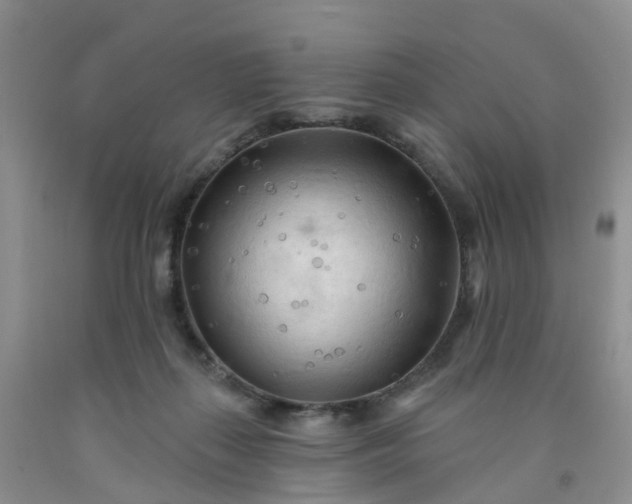 X0000091970267200709201411
