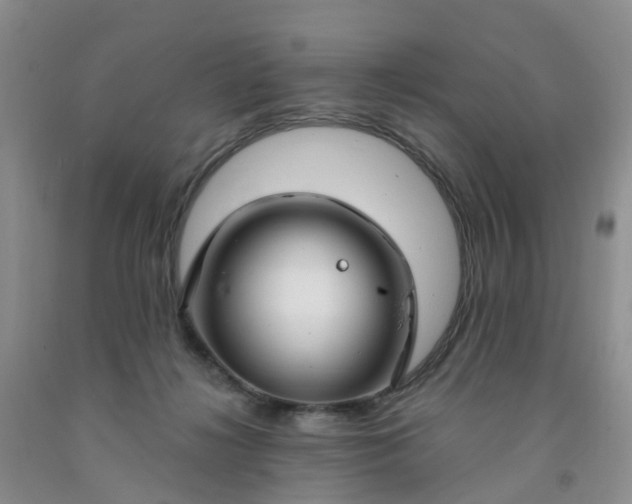 X0000091970268200709201411