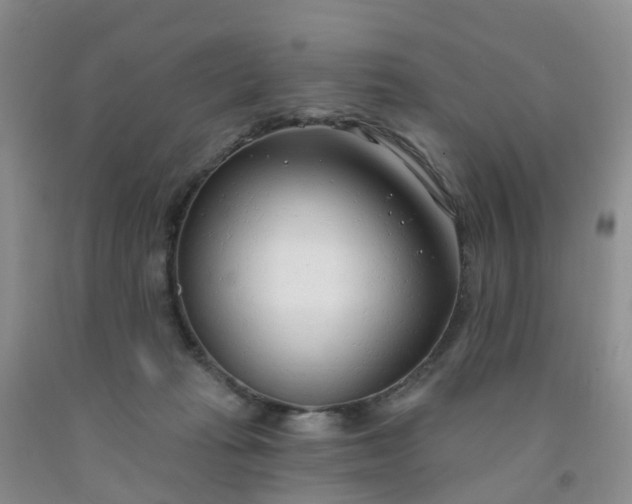 X0000091970269200709201411