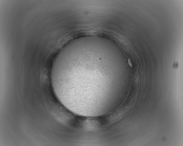 X0000091970270200709201411