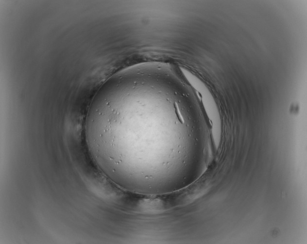 X0000091970271200709201411