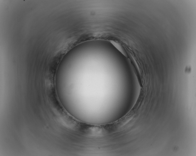 X0000091970272200709201411