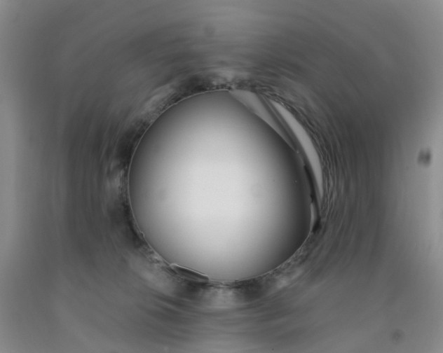 X0000091970276200709201412