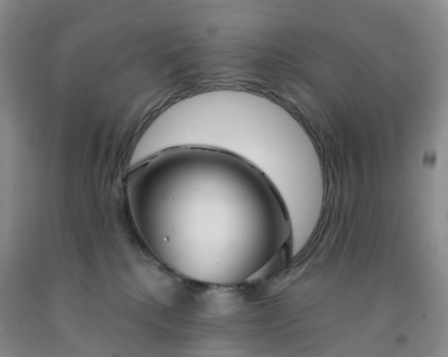 X0000091970280200709201412
