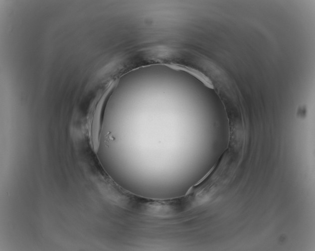 X0000091970284200709201412