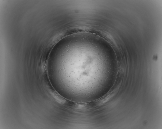 X0000091970285200709201412