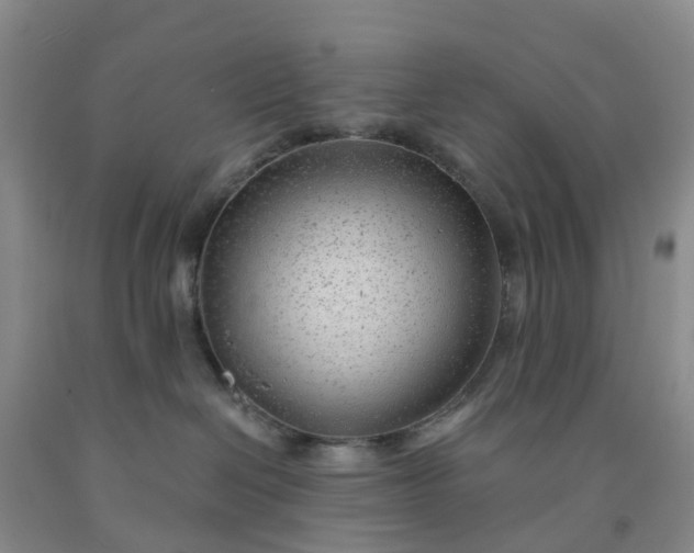 X0000091970286200709201412