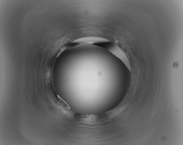 X0000091970288200709201412