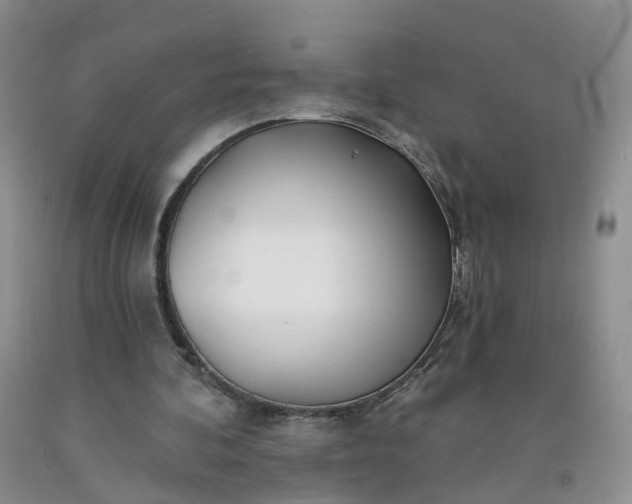 X0000091970292200709201411