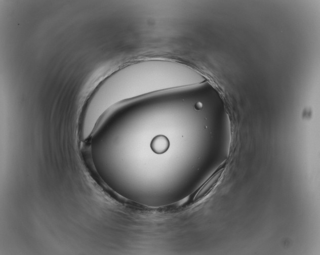 X0000091970293200709201411