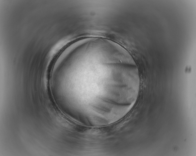 X0000091970294200709201411