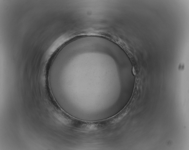 X0000091970295200709201411