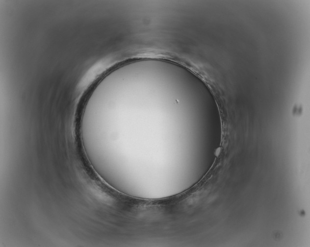 X0000091970296200709201411