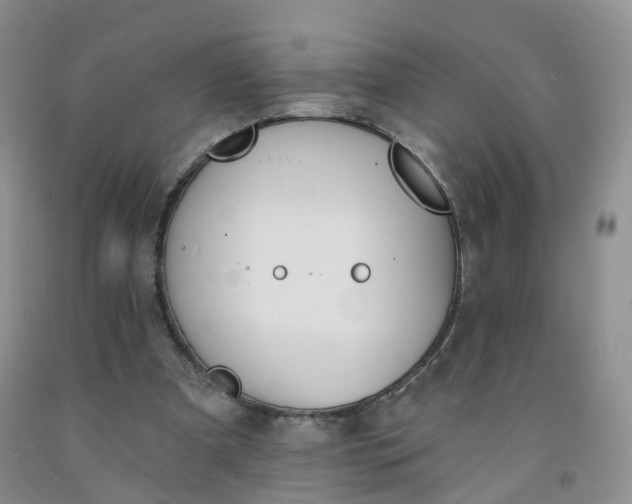 X0000091970297200709201411