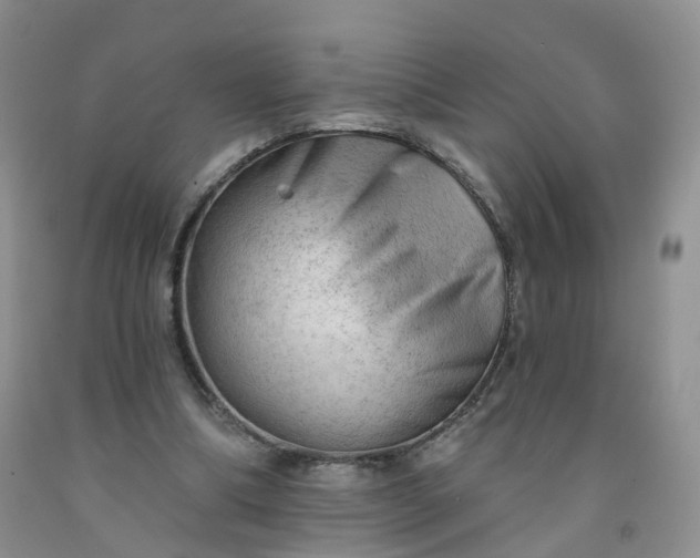 X0000091970298200709201411