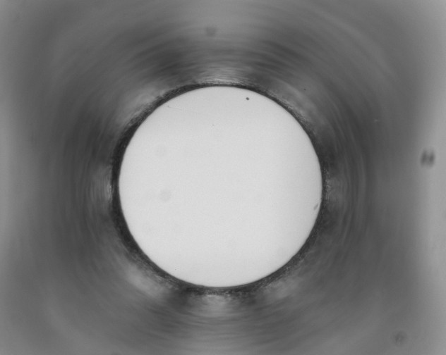 X0000091970302200709201411