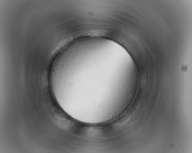 X0000091970303200709201411