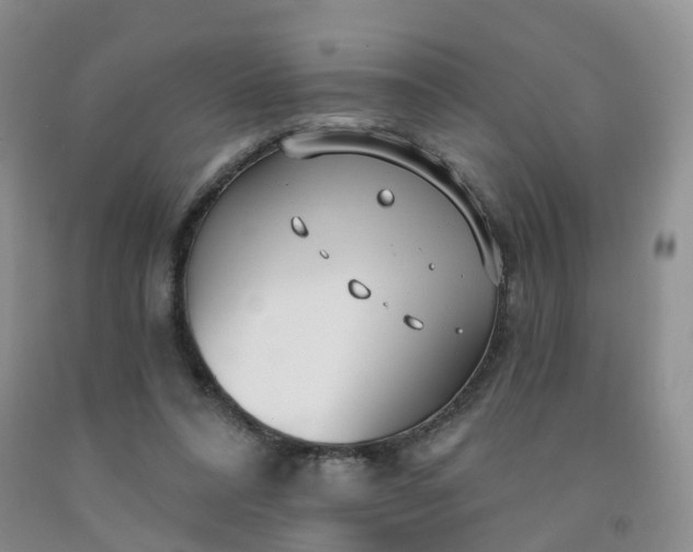 X0000091970304200709201411