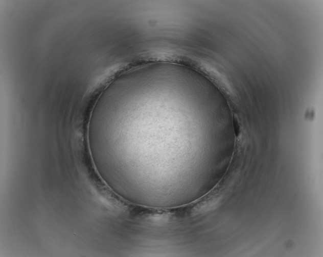 X0000091970306200709201411
