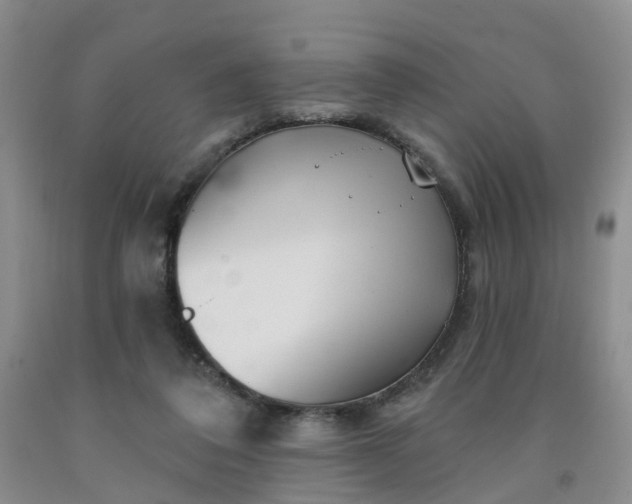 X0000091970308200709201411