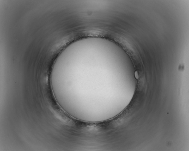 X0000091970310200709201411