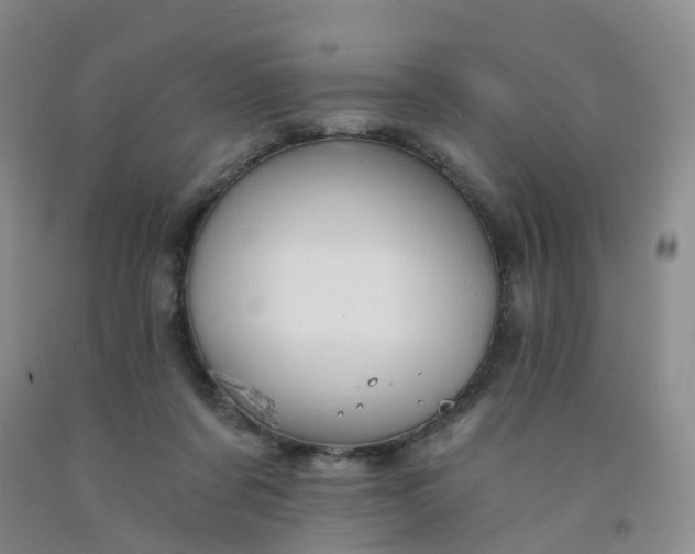 X0000091970311200709201411
