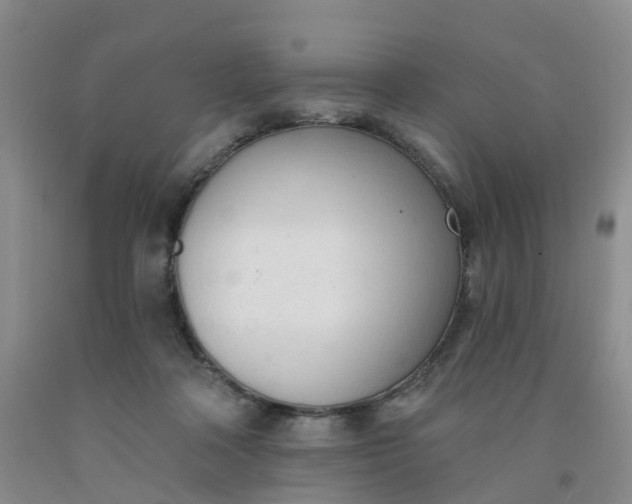 X0000091970314200709201411