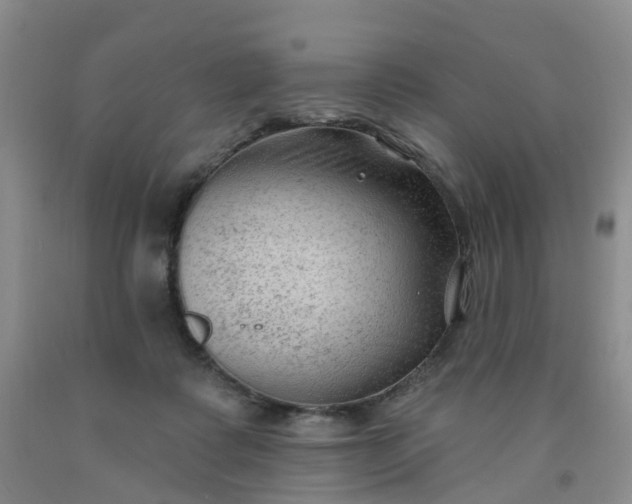 X0000091970315200709201411