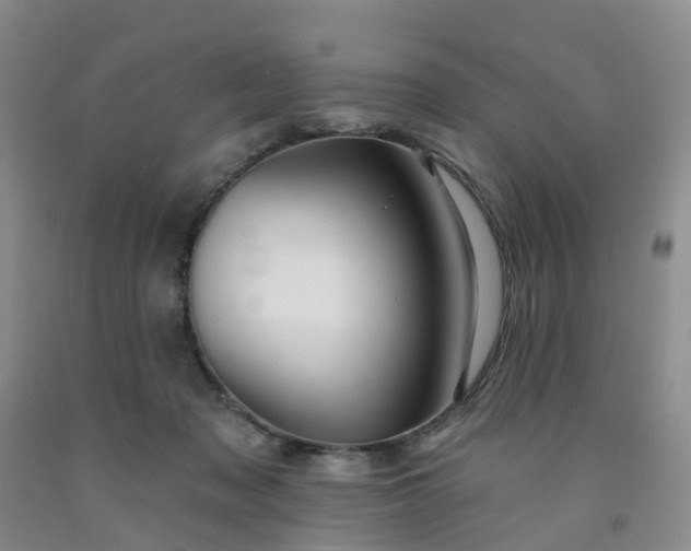 X0000091970317200709201411