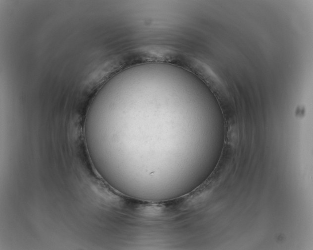 X0000091970318200709201411