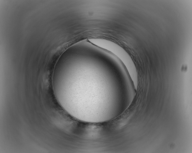 X0000091970319200709201411