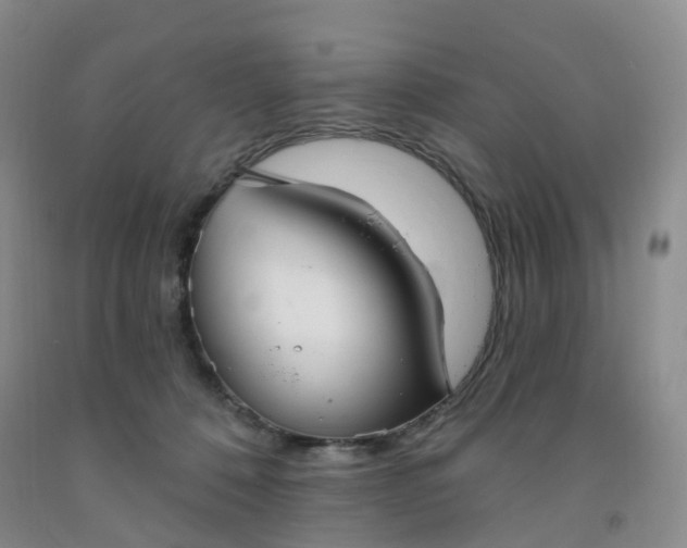 X0000091970320200709201410