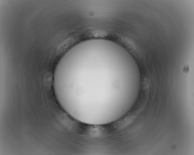 X0000091970321200709201410