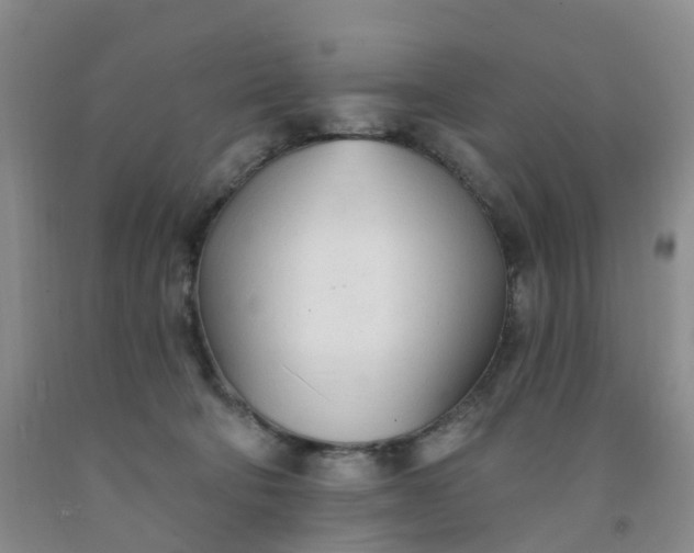 X0000091970322200709201410