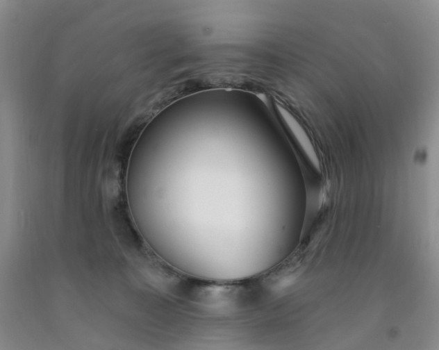 X0000091970323200709201410