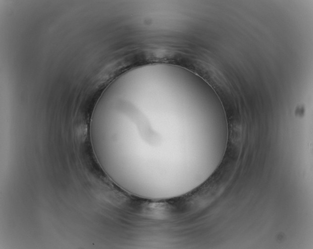X0000091970324200709201410