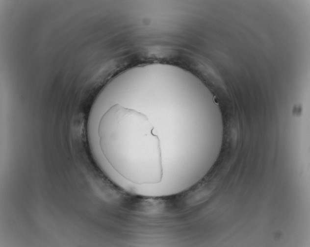 X0000091970328200709201410