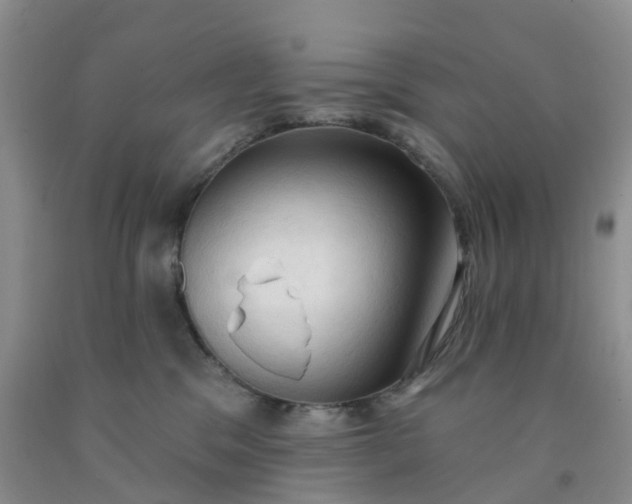 X0000091970329200709201410