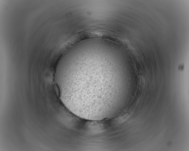 X0000091970331200709201410